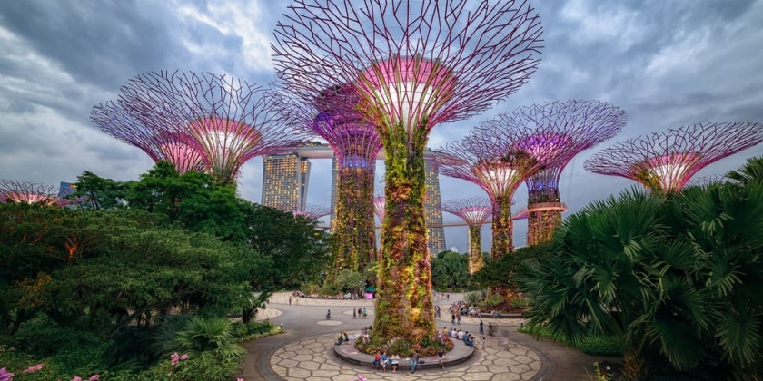 kinh-nghiem-di-choi-o-gardens-by-the-bay-singapore