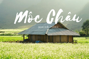 Tour Hà Nội - Mộc Châu 2N1Đ 