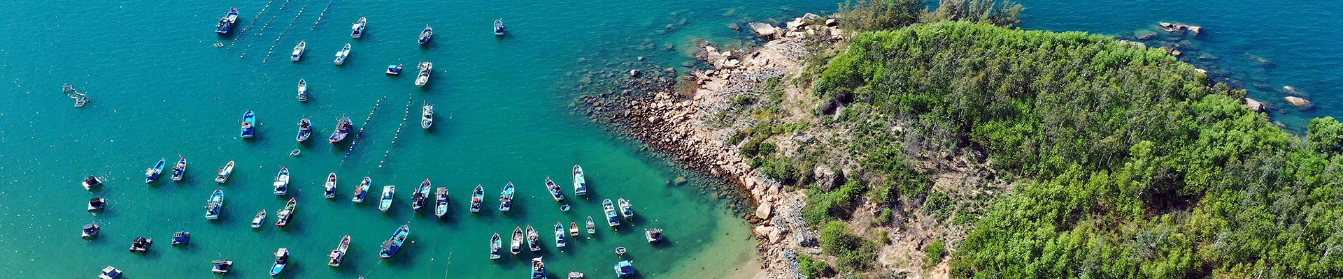 Quy Nhon