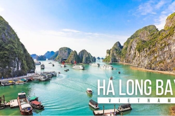 Orchid Classic Cruise Halong Bay Join In Cruise