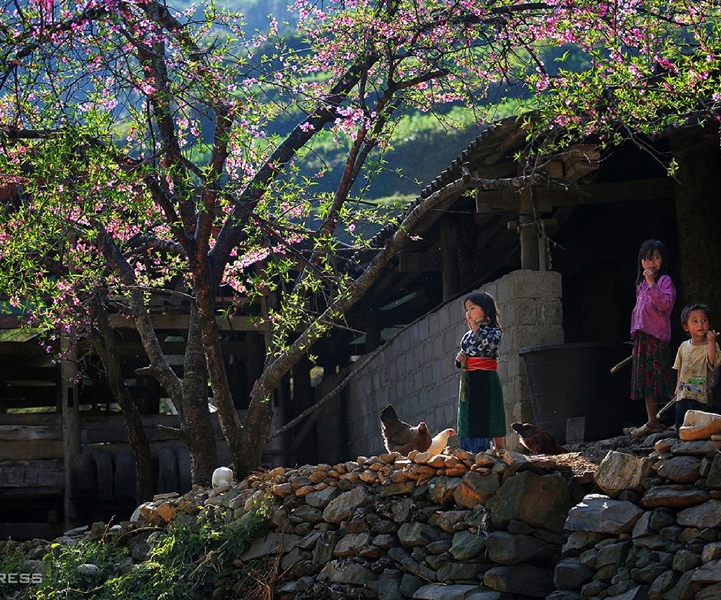 Discovering Ha Giang: A Hidden Gem In Northern Vietnam