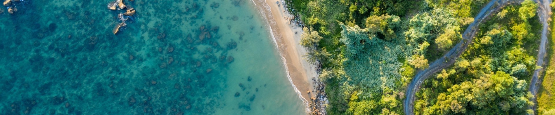 Travel Guide