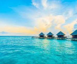 Discovery The Mekong Delta In One Day Discovery The Mekong Delta In One Day