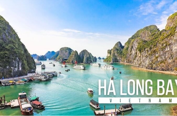 Orchid Classic Cruise Halong Bay Join In Cruise